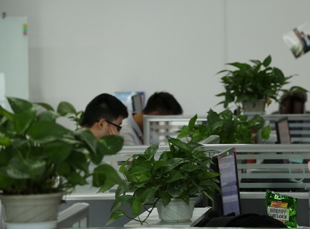 公司环境